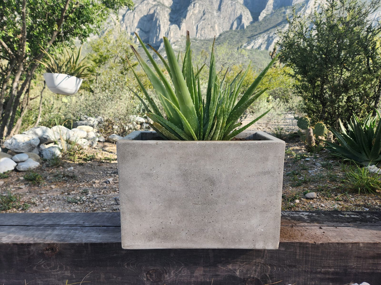 ¡Embellece tu espacio con nuestras exclusivas macetas de concreto rectangulares! 20x48x28 espesor 2.5 cm